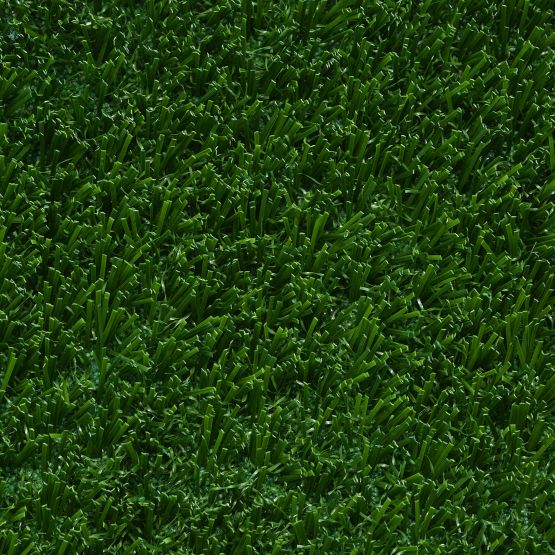 Bolt Landscape turf by Southwest Greens of Western Canada